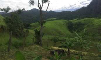 Imagem 6: Fazenda 150 alqueires, 4 casas (sede + 3), 2 lagos, 1 rio, 2 fontes de água pura