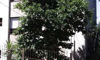 Imagem 2: Apartamento 2 Dormitórios No Passo da Areia