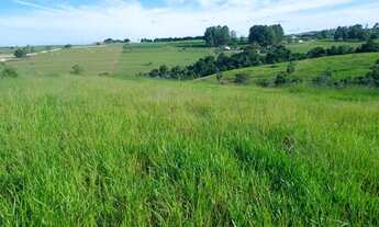 Imagem 3: Fazenda/Sítio/Chácara para venda tem 400000 metros quadrados em Centro - Itapetininga - SP