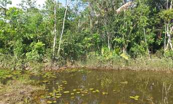 Imagem 7: Vende-se Chácara com 30.000 m2