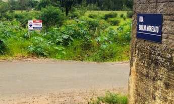 Imagem 3: TERRENO COLORADO JD PINHEIROS 294,5 MTS