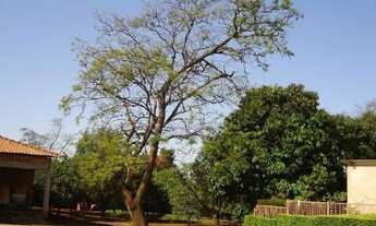 Imagem 6: Sertãozinho - Galpão/Depósito/Armazém - Chácaras Recreio dos Pa