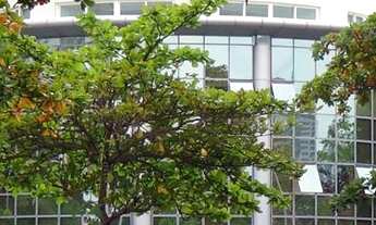 Imagem 3: RIO DE JANEIRO - Loja/Salão - BARRA DA TIJUCA