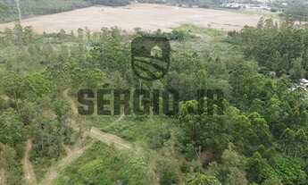 Imagem 5: Sítio com 19,3h e frente para o Rio Caí em Montenegro