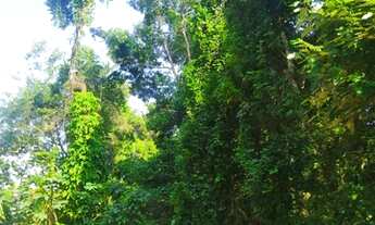 Imagem 6: Lote/Terreno para venda possui matricula, com 637 metros quadrados em Feiticeira - Ilhabel