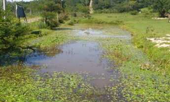 Imagem 6: Incrível Área de de terra com 3.2 hectares na Zona Rural de Glorinha, RS