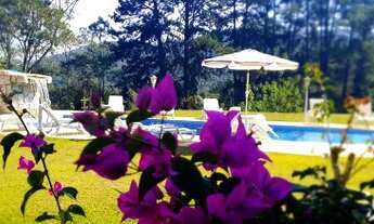 Imagem 6: Sítio/ Maravilhoso Mogi das cruzes tem 69000m2 Aceita permuta