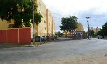 Imagem: Apartamento - Taquaral - Campinas