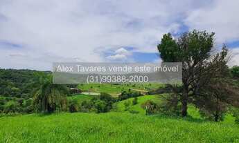 Imagem 5: Haras com Redondel Pista e Baias em Condomínio com Segurança e Lazer