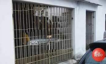 Imagem 5: São Paulo - Terreno Padrão - Água Rasa