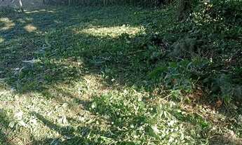 Imagem 2: Vendo ou troco terreno em Imbituba, sambaqui