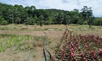 Imagem 5: SITIO COM 1 HECTARE DE TERRA FÉRTIL E MUITA ÁGUA