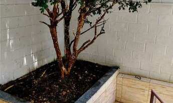 Imagem 4: CASA PARA ALUGAR 3 QUARTOS 3 SALAS 2 VAGAS BAIRRO UNIÃO