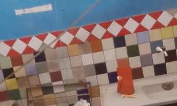 Imagem 4: Vende ou aluga-se está casa