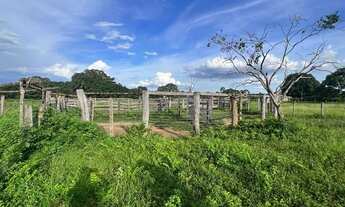 Imagem 2: Fazenda em Figueirópolis. Com dívida