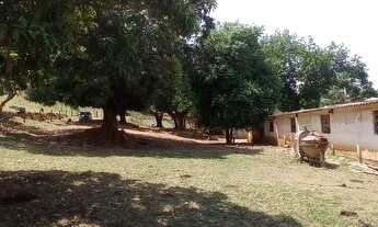 Imagem 4: Fazenda com 30 hectares na beira do rio descoberto troca perto de Brasília