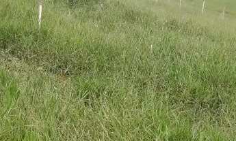 Imagem 2: Terreno Santa Isabel / Guararema 1000 metros