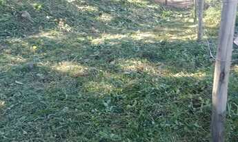 Imagem 6: Vendo ou troco terreno em Imbituba, sambaqui