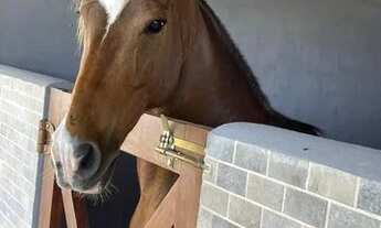 Imagem 2: FAZENDA REAL - LOTE M.C