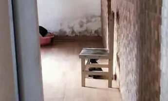 Imagem 3: Casa na área livre