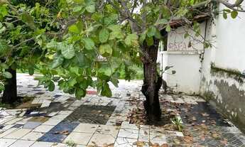 Imagem 6: Casa na Coroa do Meio