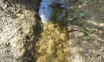 Imagem 6: Vende-se Chácara de 1 alqueires e 70 litros em Trindade-GO