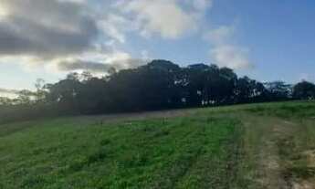 Imagem 5: Lote/Terreno para venda tem 1000 metros quadrados em Centro - Cotia - SP