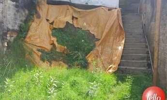 Imagem: São Paulo - Terreno Padrão - Tatuapé