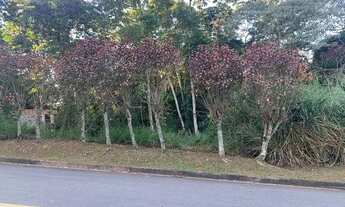 Imagem 4: Venda Terreno / lote com venda por R$350.000