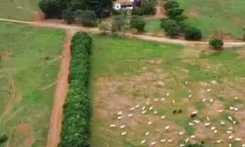 Imagem: Baldim/MG - Fazenda de 1.552ha - R$15.000,00