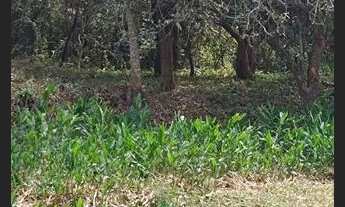 Imagem 4: Terreno com água em mateus leme