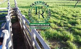 Imagem 4: Fazenda / chácara 21,8 Alqueires Próximo a Palmas-To