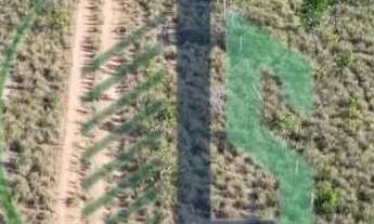 Imagem: Vendo Fazenda 410 hectares