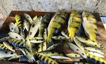 Imagem 3: Maniratuba, Goiás - Fazenda com rio, gado e moradias