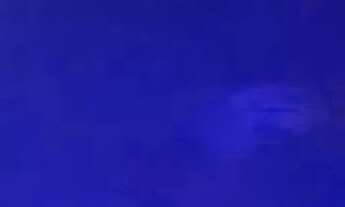 Imagem: Casa com 3 quarto(s) no bairro Ikaray em