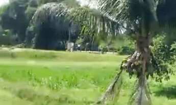 Imagem 5: Sítio 200 x 1.000 com 12 viveiro peixe Manuel Urbano 1.600.000