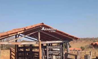 Imagem 7: Fazenda com 532,0463 ha à venda em Varzelândia