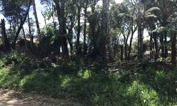 Imagem 2: Terreno - Bairro Alpes Verdes
