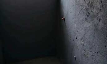 Imagem 7: Loja Comercial para Locação em Lauro de Freitas, Centro, 2 banheiros, 49 vagas