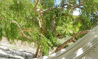 Imagem 6: Vendo lotes no Povoado Flexeiras em Santo Amaro das Brotas