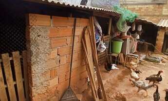 Imagem 7: Lote murado com consertina Lote à Venda, 250.00 por R$ 180000.00 no setor Residencial Prad