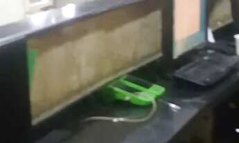 Imagem 5: Pizzaria completa