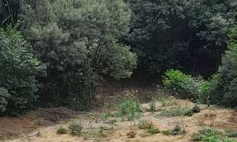 Imagem 7: Pra quem e amante da natureza oportunidade imperdível a menos de 25 km da cid de piedade