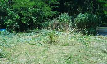 Imagem 3: Terreno com casa, precisa reforma