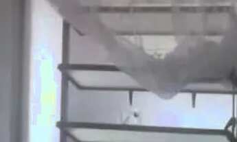 Imagem 6: CASA TÉRREA - JARDIM PINHEIROS - SP