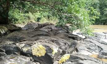 Imagem 6: Sítio 3 dormitórios à venda Área Rural de Cuiabá Cuiabá/MT