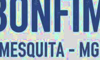 Imagem: Vendo lote com casa em Mesquita MG, rua