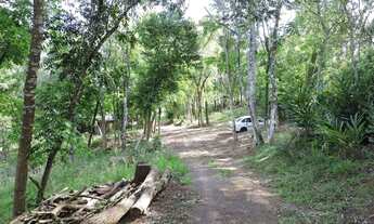 Imagem 5: Sítio em Rodovia RS-020 - Vera Cruz - Gravataí/RS