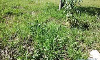 Imagem 5: TERRENO - CHÁCARAS SILVANIA - SP