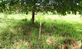 Imagem 2: Vende-se 7 alqueres município de Goiás velho